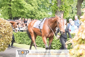 gerling_preis_07052017_13