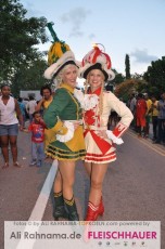 carneval_umzug_victoria_23042016_470