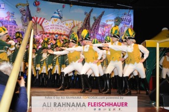 ehrengarde_regimentsappell_09012017_234