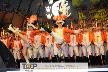 greesberger_kostuemsitzung_28012017_108