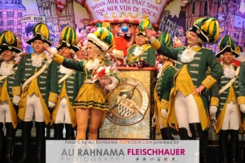 rotefunken_galasitzung_21012017_274