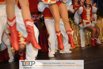 schmuckis_kostuemsitzung_29012017_340