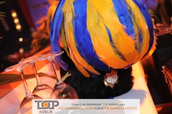 treuer_husar_prunksitzung_16022017_001