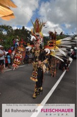carneval_umzug_victoria_23042016_146