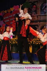 ehrengarde_damensitzung_24012017_360