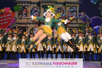 ehrengarde_damensitzung_24012017_225