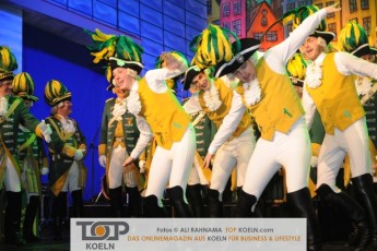 ehrengarde_prunksitzung_03022017_263