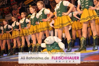 ehrengarde_mittwochssitzung_03022016_033