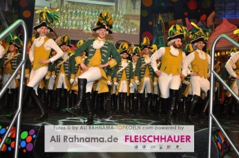 ehrengarde_prunksitzung_21012016_097