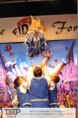 fidele_fordler_prukositzung_18012018_079