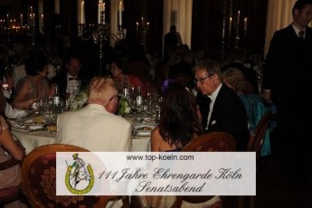 senatsabend_ehrengarde_06072013_092