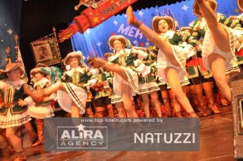 altkoellen_kostuemsitzung_26012014_034
