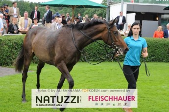 audi_ascot_hannover_12072015_085