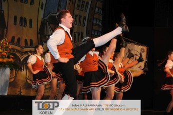 greesberger_kostuemsitzung_28012017_203