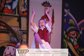 grosseallgemeine_kostuemsitzung_10022017_192