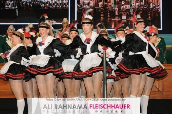 janvonwerth_prunksitzung_14012017_242