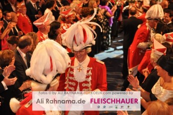 rotefunken_galasitzung_09012016_034