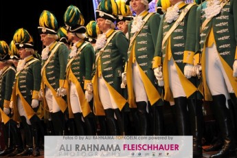 rotefunken_galasitzung_21012017_241