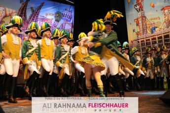 rotefunken_galasitzung_21012017_248