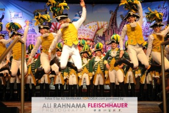 rotefunken_galasitzung_21012017_262