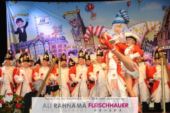 rotefunken_galasitzung_21012017_072
