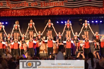 stromlose_ader_prunksitzung_25012019_026